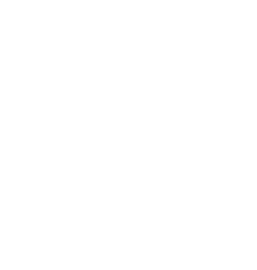 logo (1)